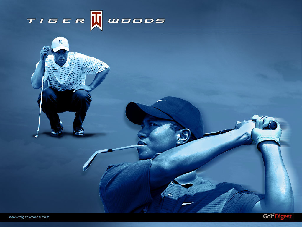 wonderful tiger wood wallpaper