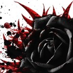 top black rose background