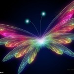 butterfly cool wallpaper hd