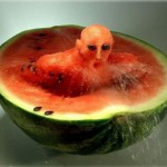 awesome funny fruit wallpaper