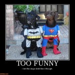 super too funny picture
