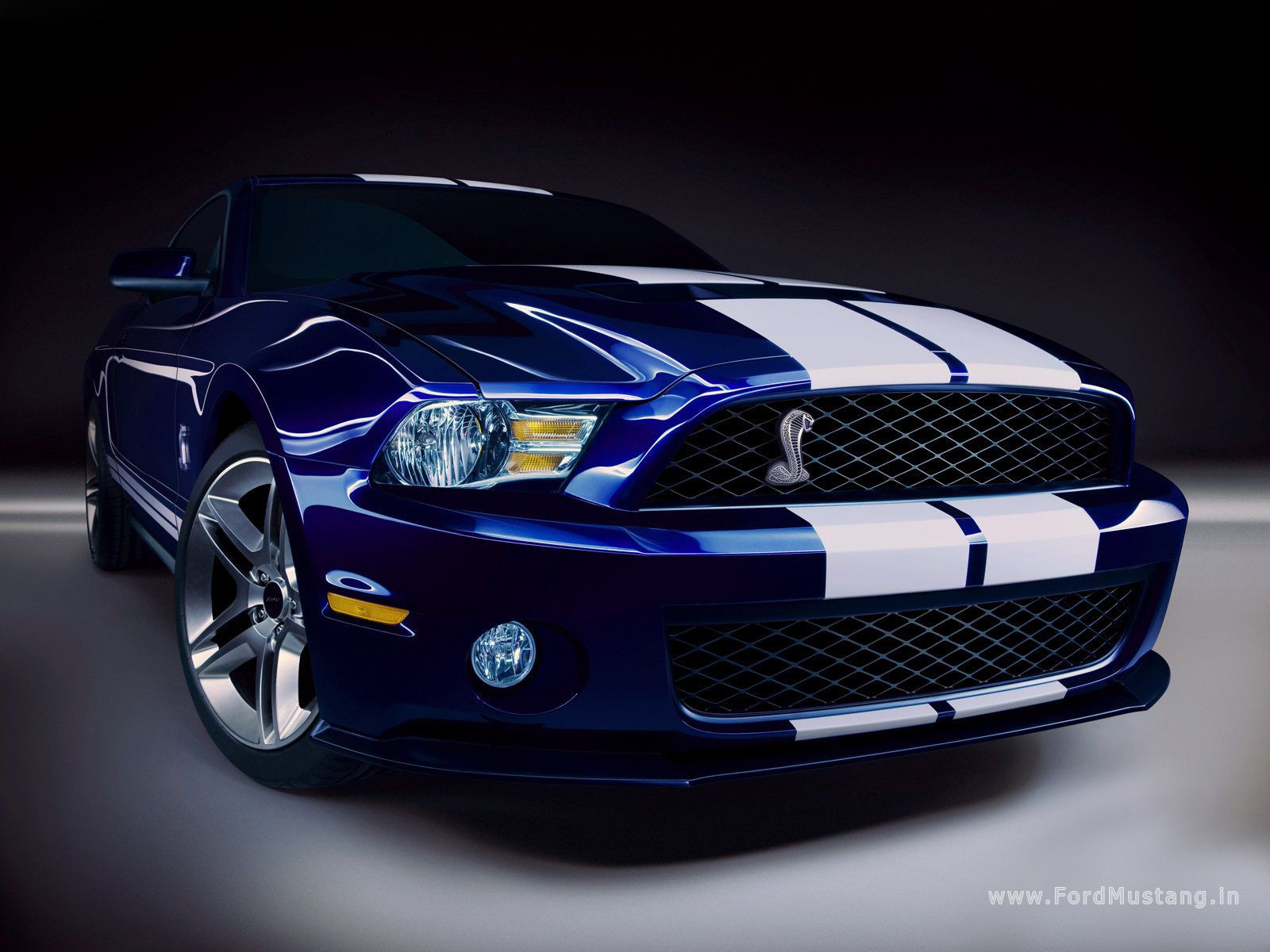 great ford mustang pictures