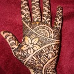 top heena design