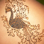 vector henna tattoos