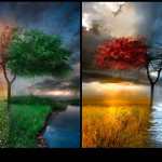colorful picture hd