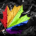leaves picture hd