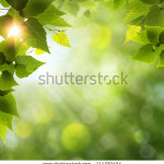 green beautiful natural background