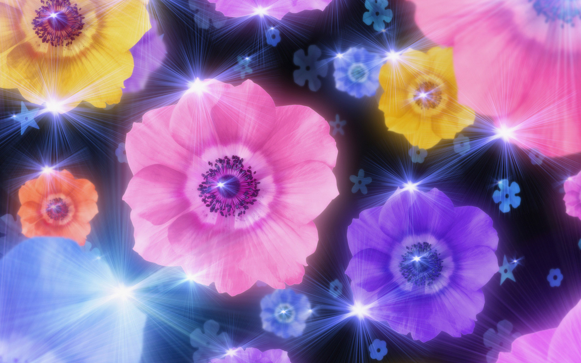 colorful animated flowers
