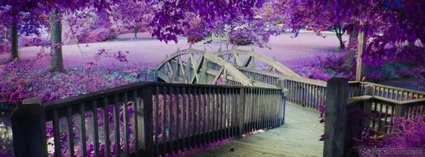 great lovely facebook covers