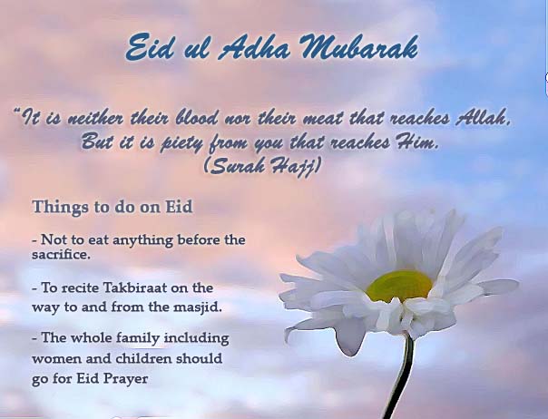3d eid ul adha wishes