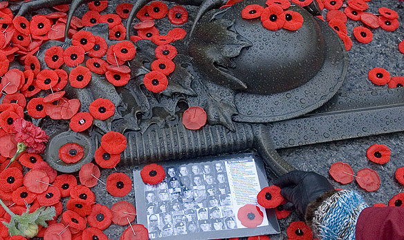 free remembrance day photos