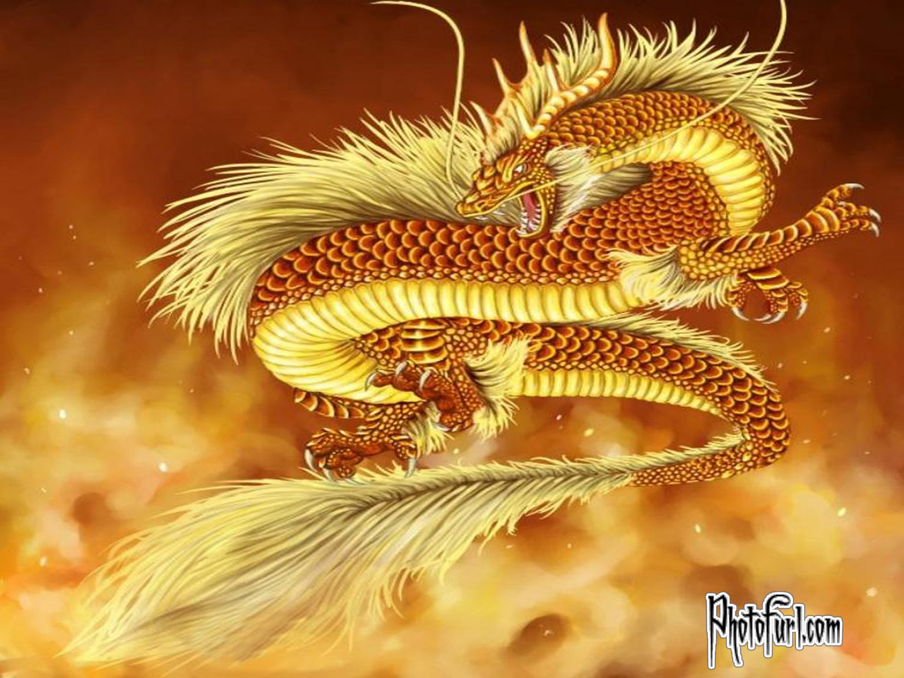 fantastic download free wallpaper