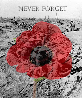 amazing remembrance day photos
