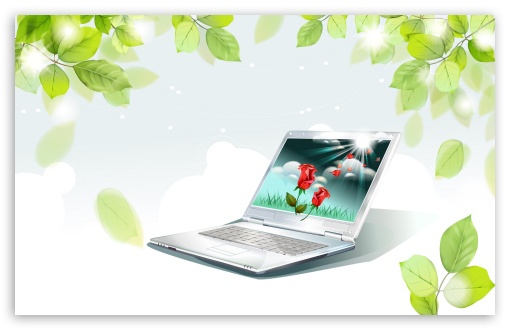 leaves laptop wallpapers