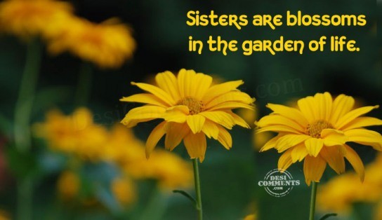 awesome sister quotes wallpapers