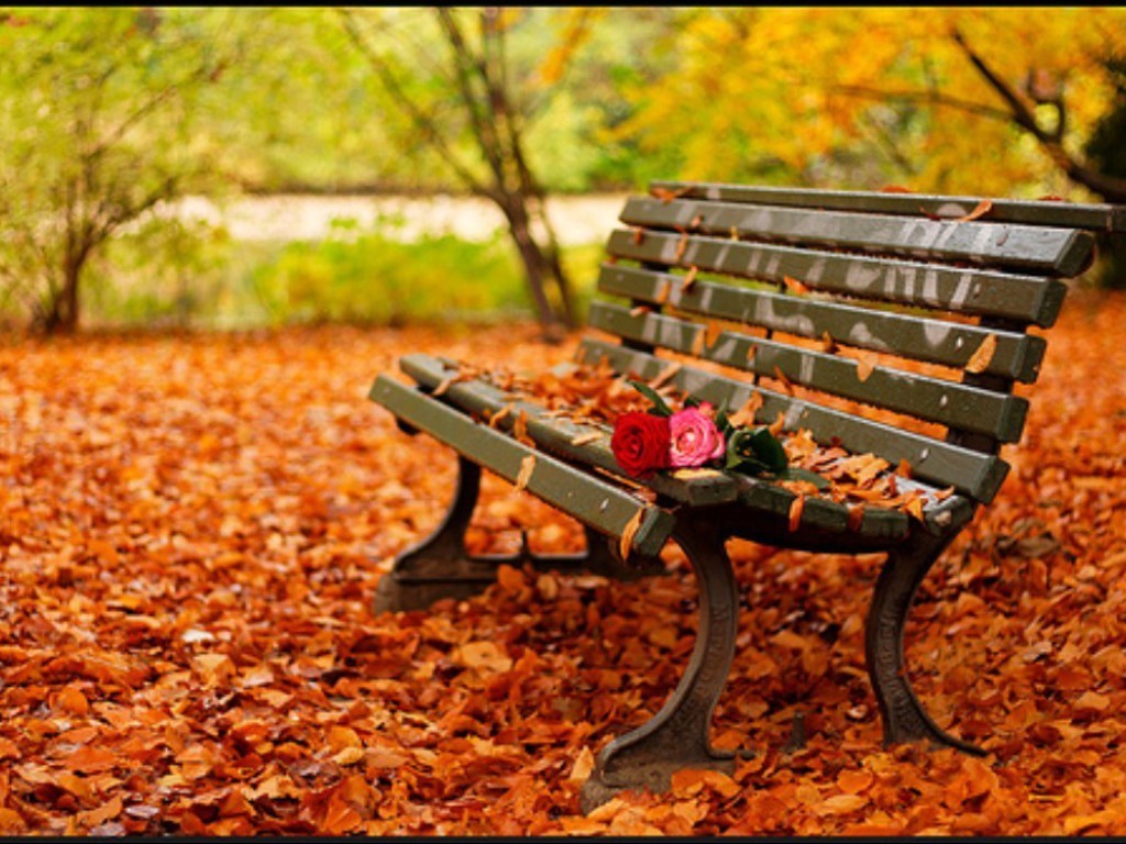 awesome autumn pictures