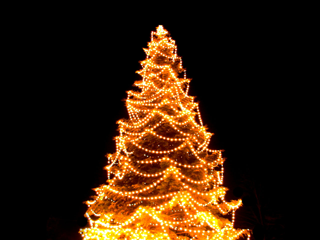 fantasy christmas tree lights
