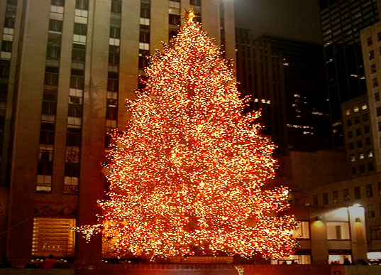 cute christmas tree lights