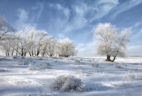 awesome winter wonderland photos