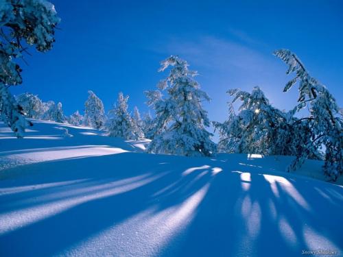 natural free winter image