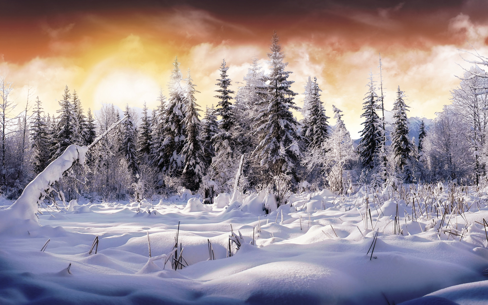 awesome free winter image