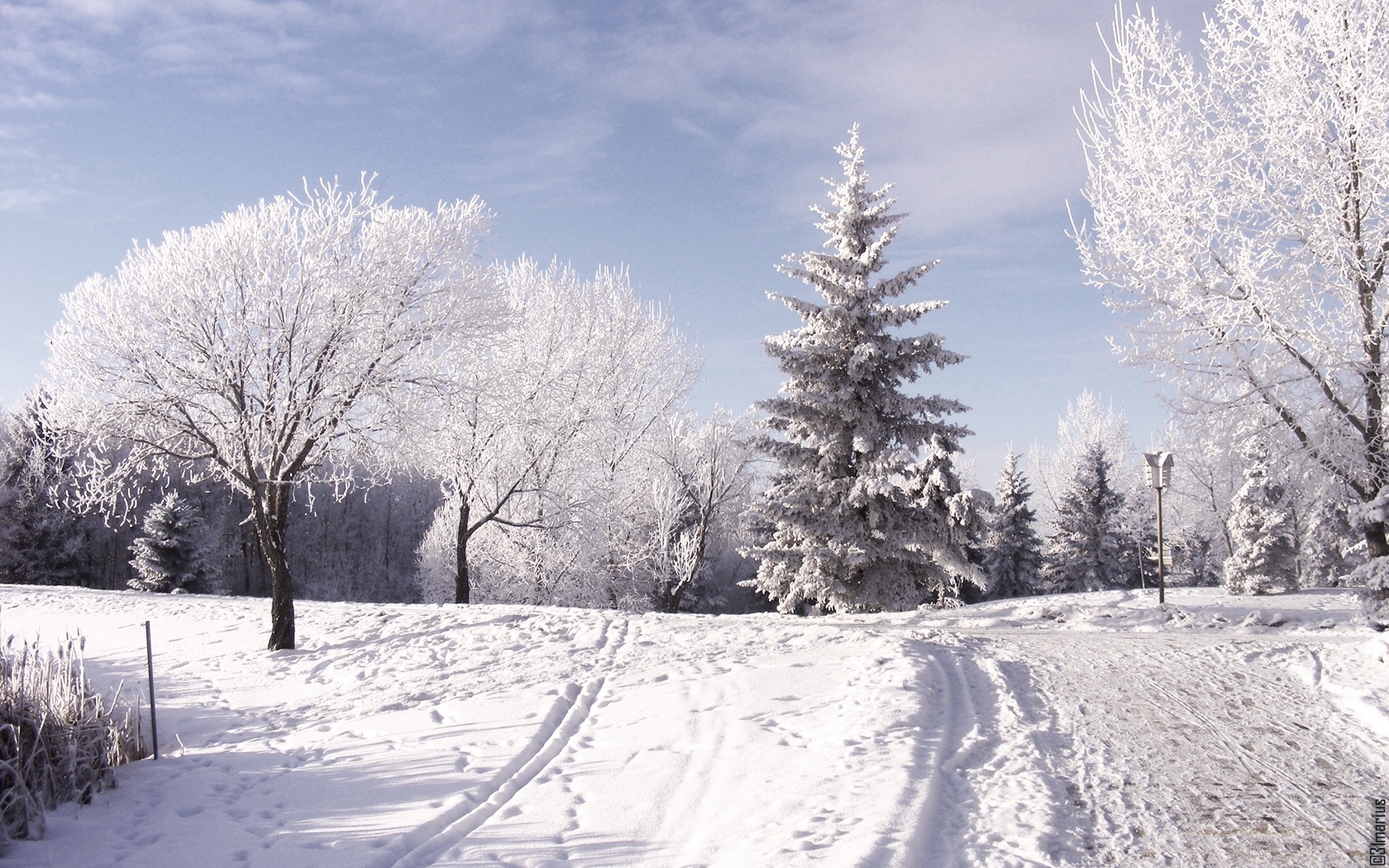 lovely free winter image
