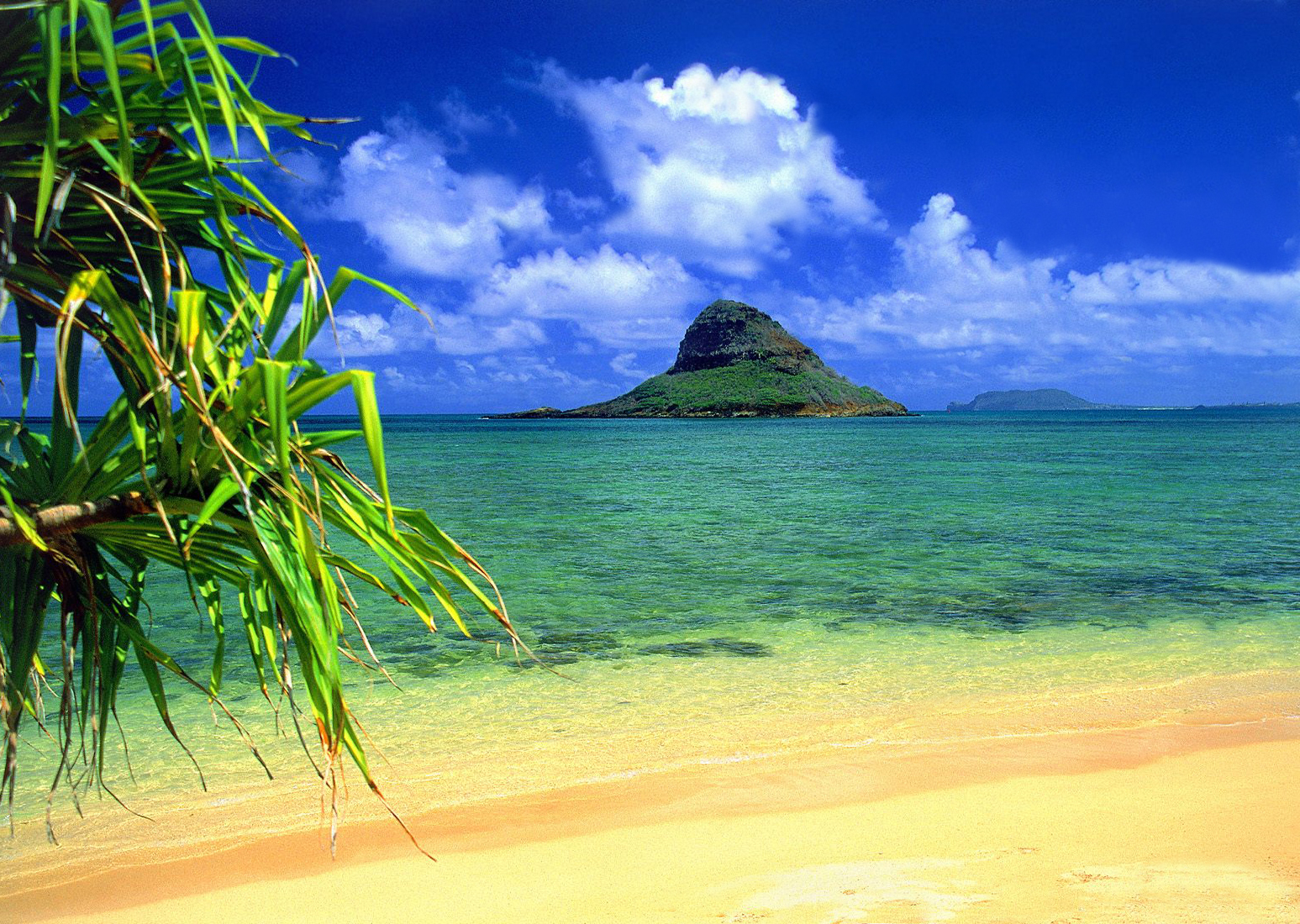 cute hawaii beach image