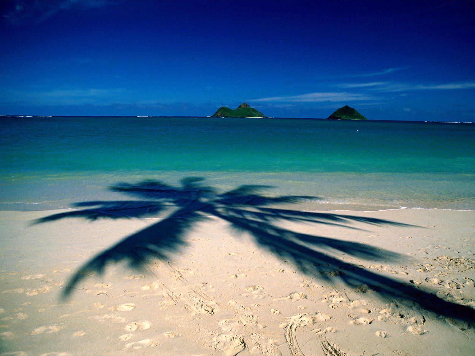great hawaii beach image