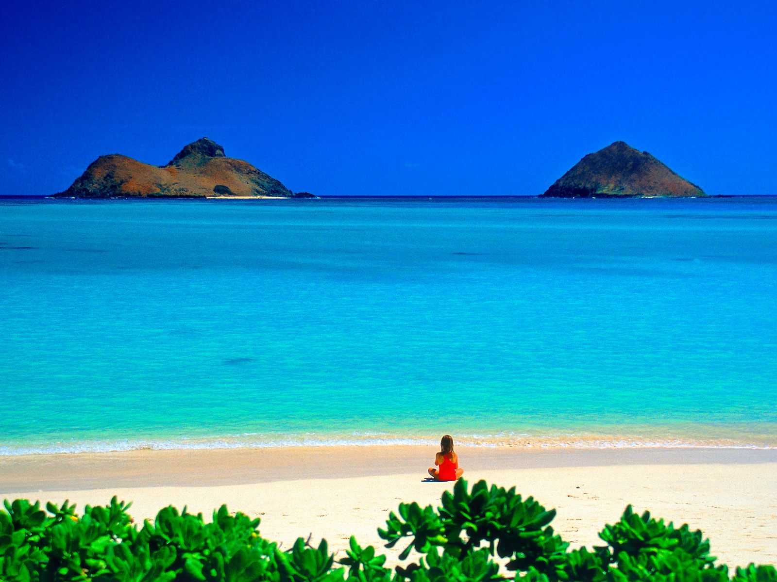 wonderful hawaii beach image