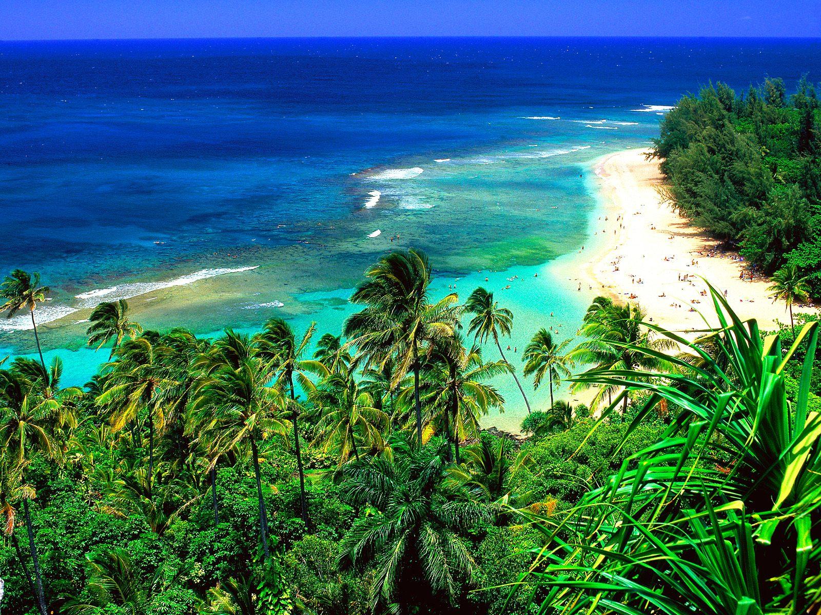 beautiful hawaii beach image