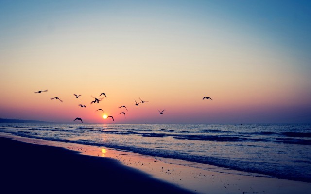 wonderful vintage sunset