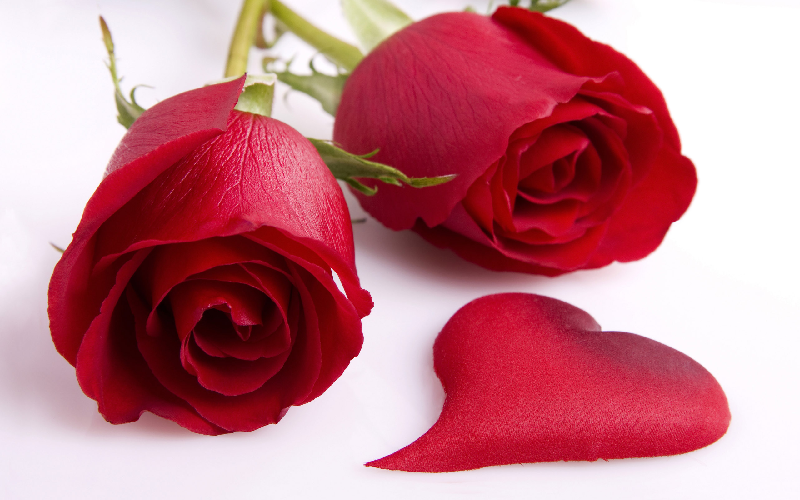 animated beautiful roses image