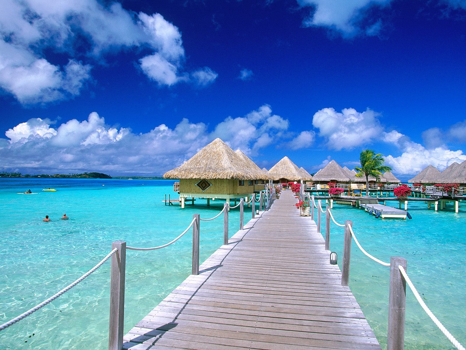 high quality bora bora beach