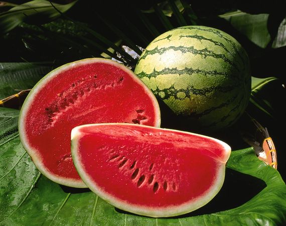 aweosm e watermelon image