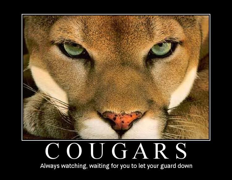 high quality cougar picture