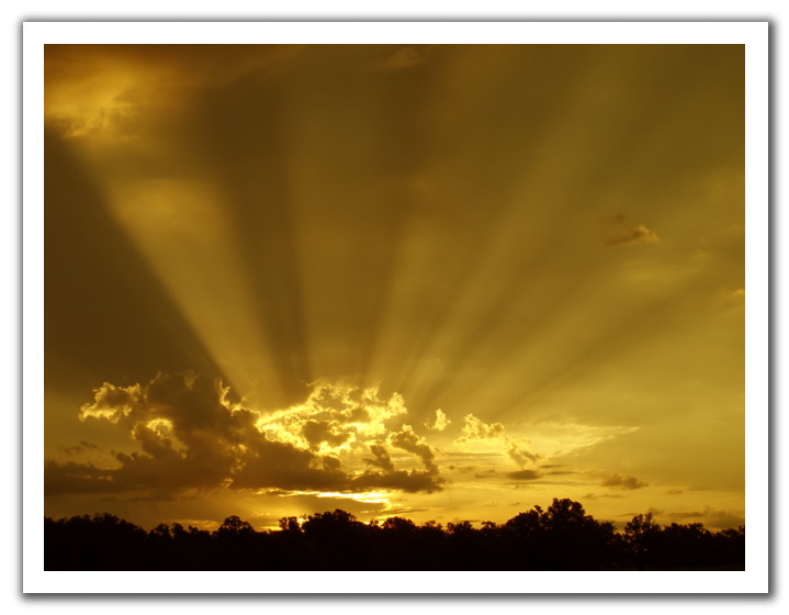 lovely golden rays picture image