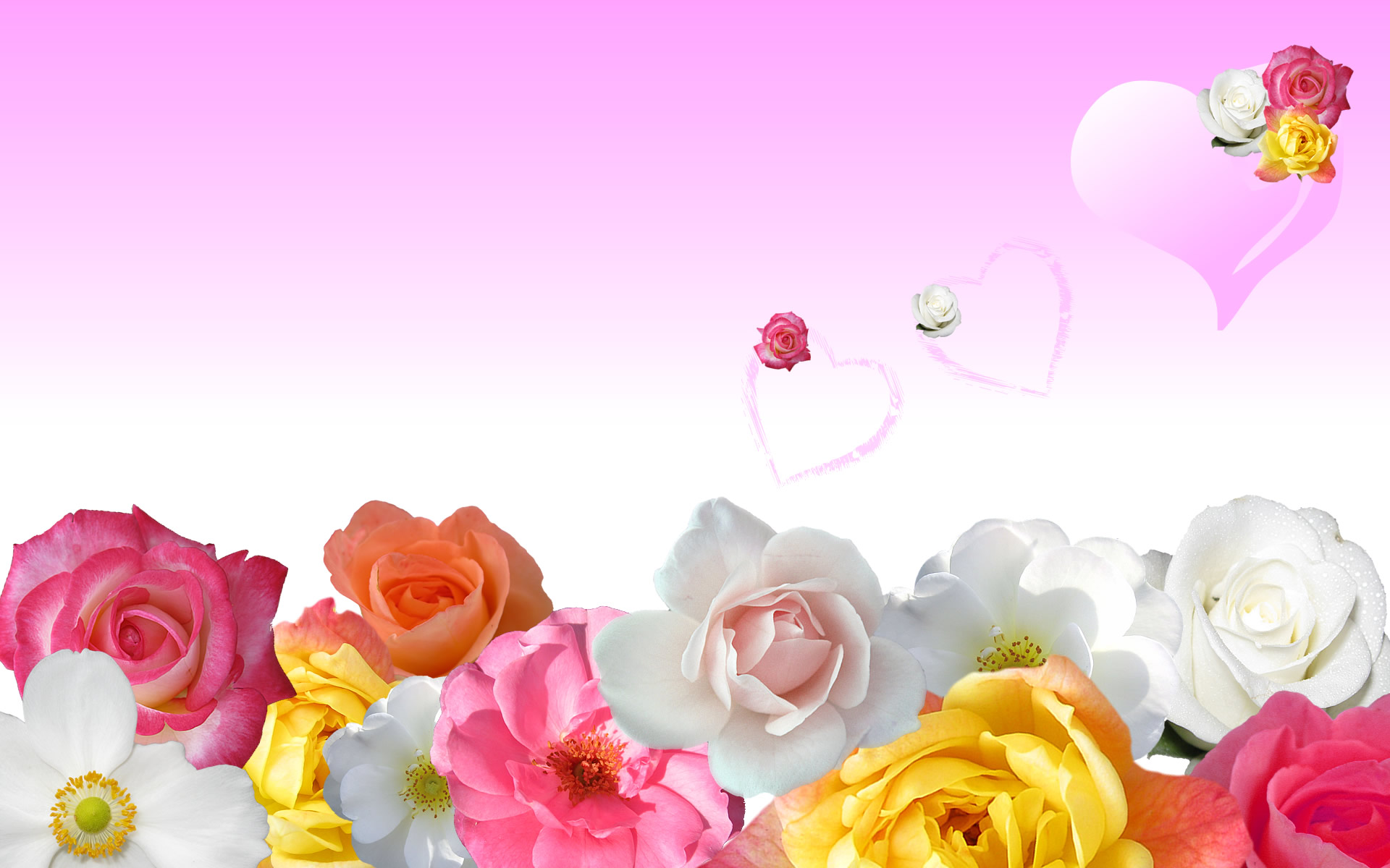 amazing pink flower image pc