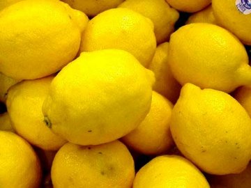 cute lemon photos image
