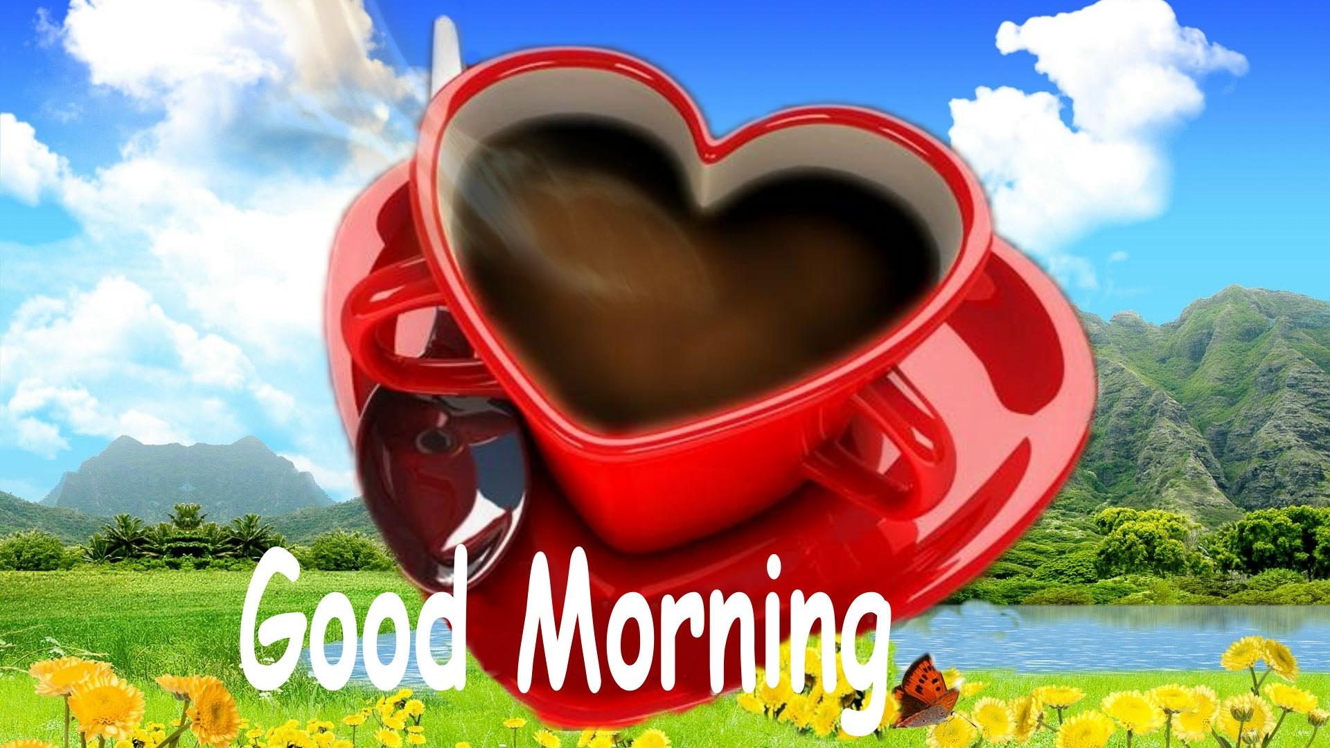 beautiful morning photos hd