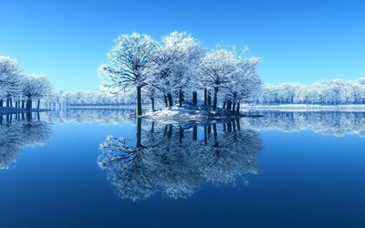 cute frosty trees image