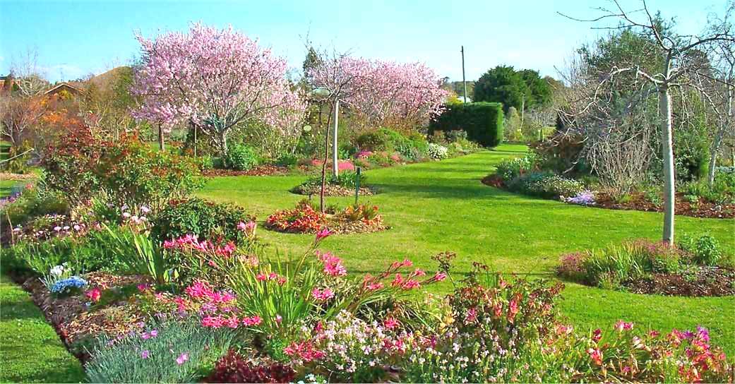 wonderful spring garden image