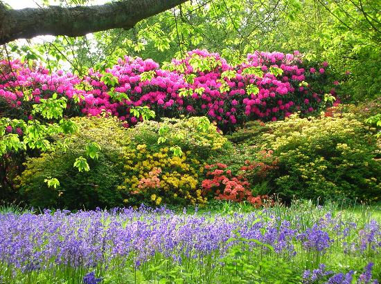 colorful spring garden pc