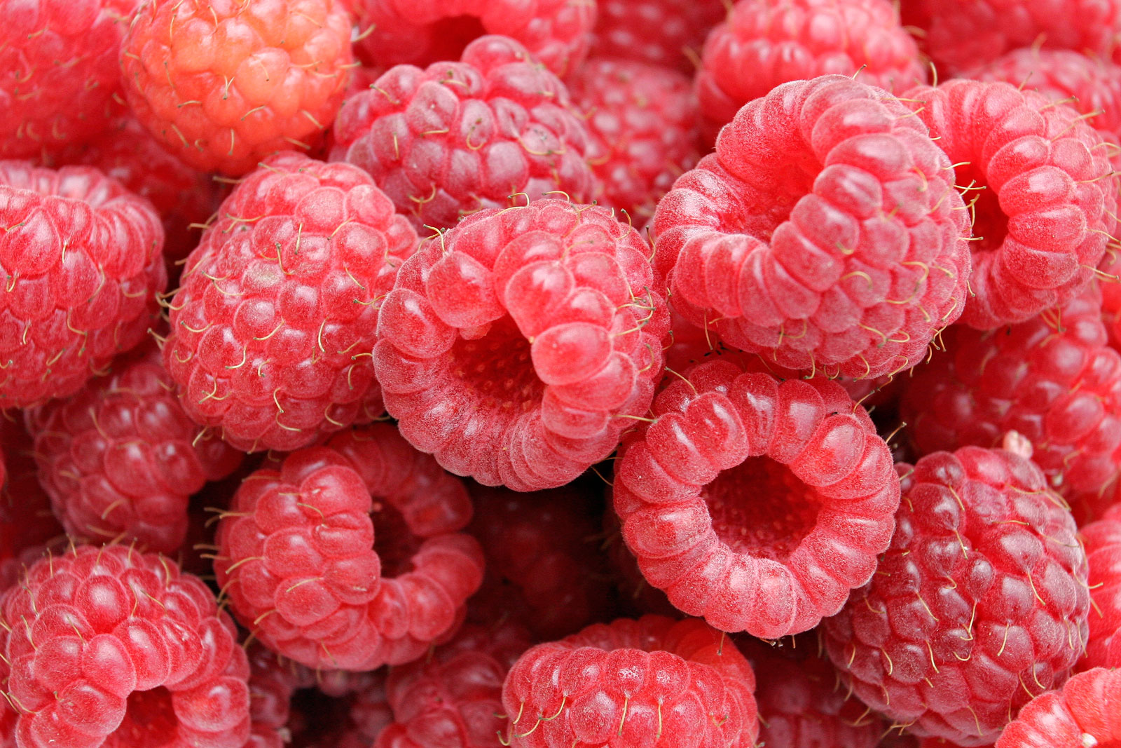 yummy raspberry wallpaper