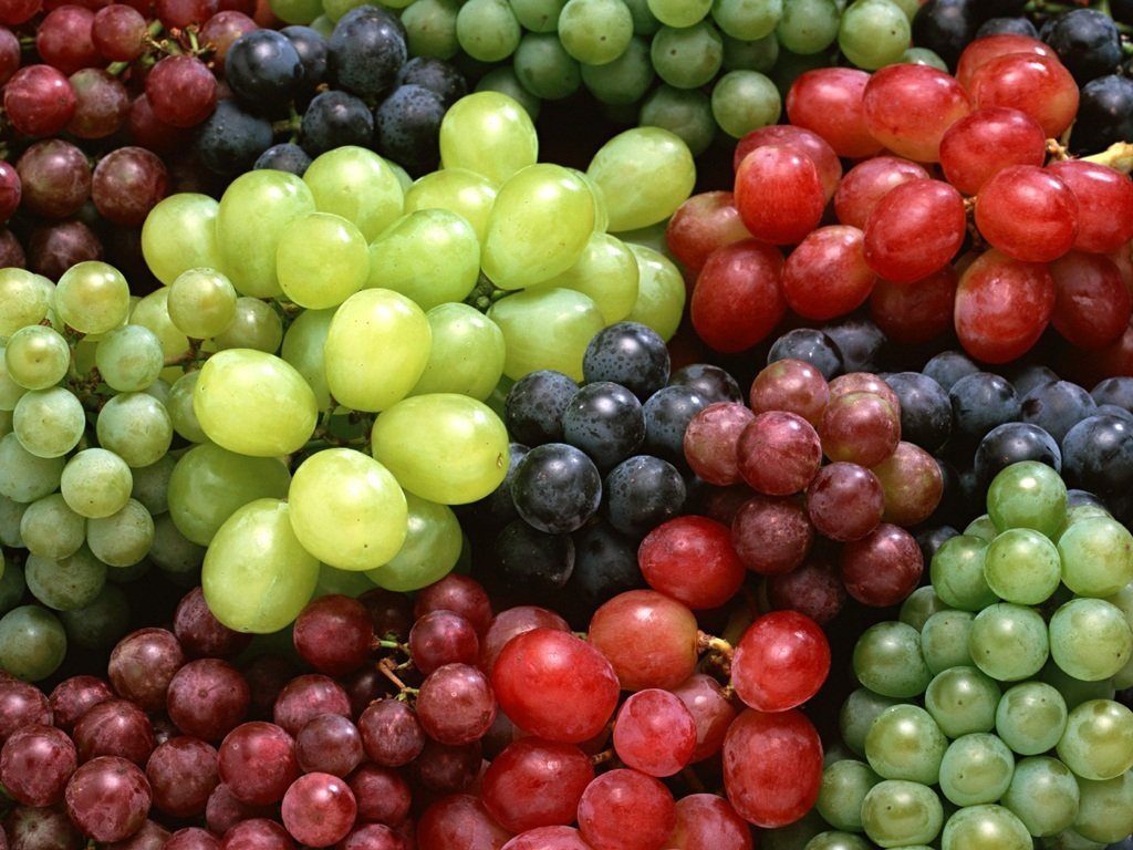 amazing grapes photos  image
