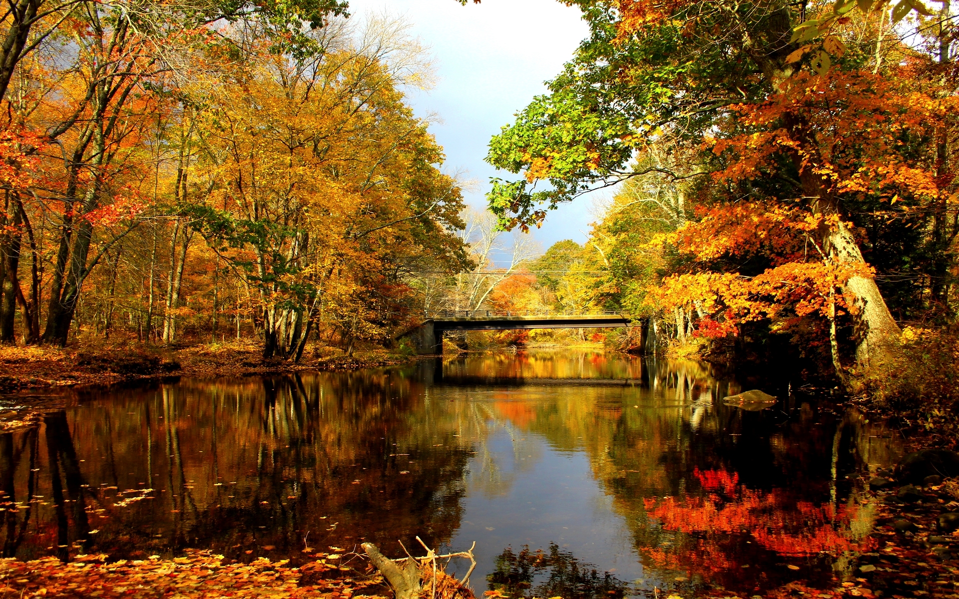 lovely autumn lake image