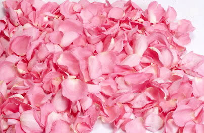 colored pink petal picture