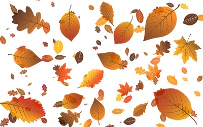 animated falling leaves image