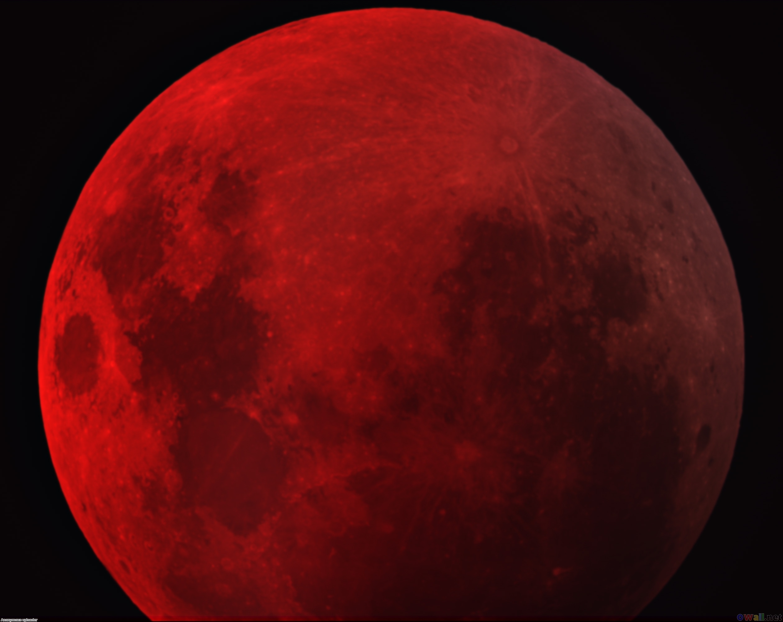 awesome red moon photos image