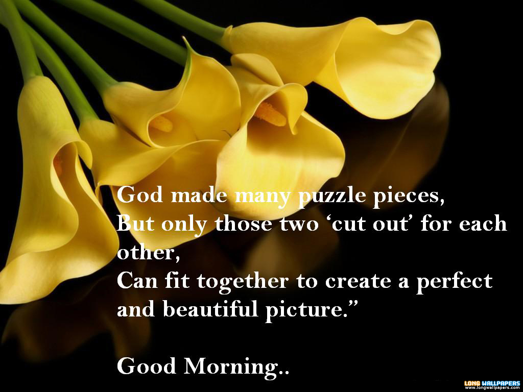 yellow flower best good moring quotes