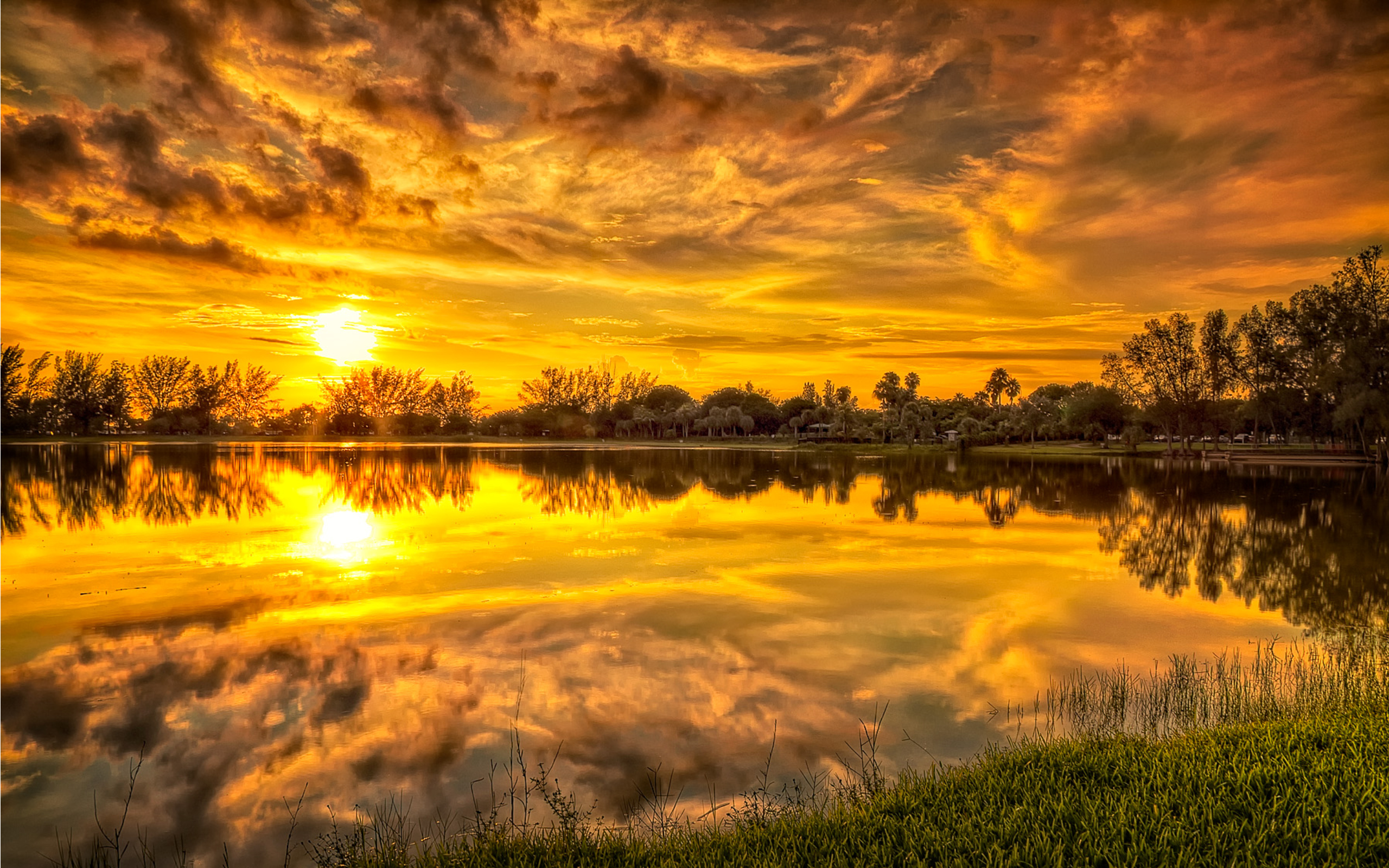 tropical hdr background